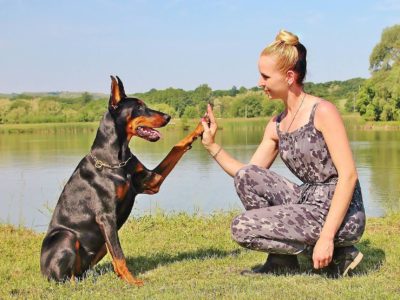 Sprachlos einfach Training