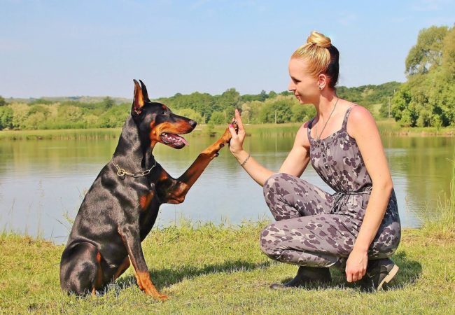 Sprachlos einfach Training