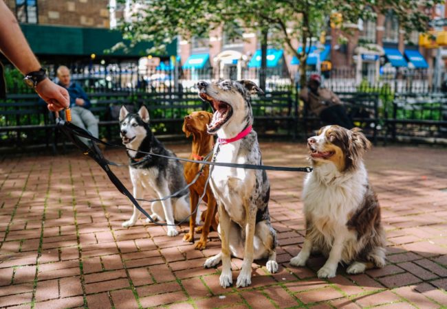 Gruppe Training Schärding